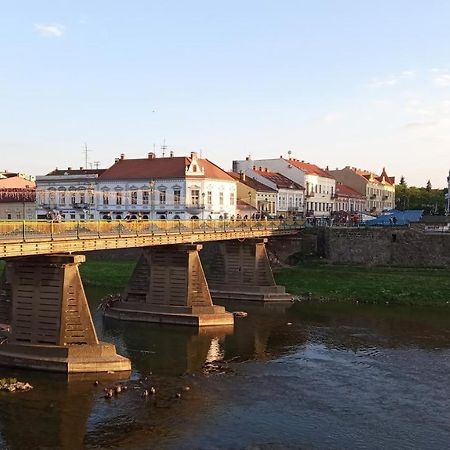 Затишна Двокімнатна Квартира В Самому Серці Ужгорода Uzhhorod Exterior foto