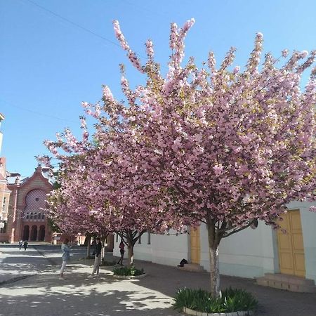 Затишна Двокімнатна Квартира В Самому Серці Ужгорода Uzhhorod Exterior foto