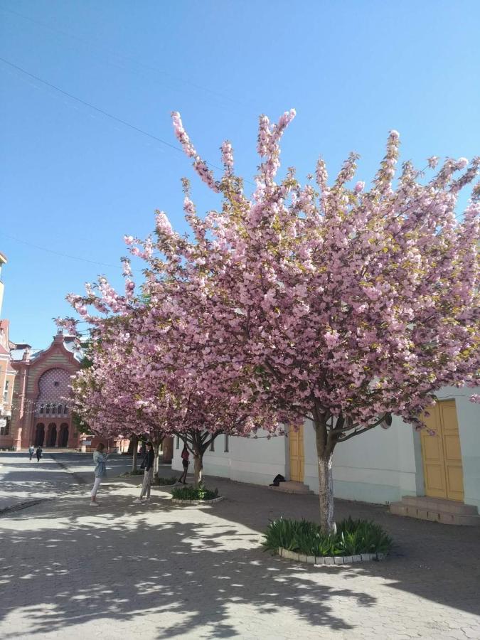 Затишна Двокімнатна Квартира В Самому Серці Ужгорода Uzhhorod Exterior foto